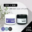 【10％OFFセール！】大容量 オールインワンジェル ヒト幹細胞 ナイアシンアミド 250g オールインワンゲル 敏感肌 メンズ 保湿ジェル オールインワン 化粧品 エイジングケア 肌荒れケア 毛穴 ハリ 弾力 予防美容 肌 保湿 プレゼン